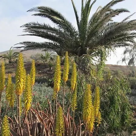 Descanso En Espacio Natural Con Vistastharada Prázdninový dům